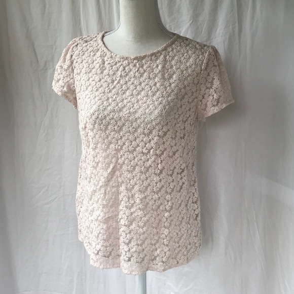 Loft Embellished Short Sleeve Blouse - Picture 1 of 5